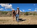 Exploring Boulder Creek Wyoming