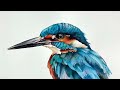 King Fisher