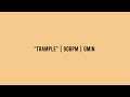 TRAMPLE - epik the dawn type beat