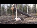 How To Make A MASSIVE Deadfall Trap.