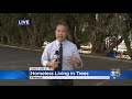 Homeless In Fremont Living In Tree Houses