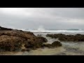 Three Minutes of Hawaiian Zen, Christmas 2012, Waianae