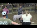 4-H and FFA Lamb and Goat Show - Greenup County Fair