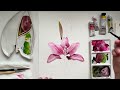 Pink lily watercolor tutorial