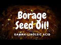 Borage Seed Oil Short