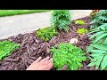 I’m Adding a Love-a-Lot Pink to My Hydrangea Hideaway + a Planting Update