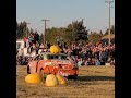 Smoky Lake Pumpkin Fest Oct 2022 , Pumpkin drop!