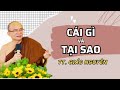 Cái Gì và Tại Sao | Sư Giác Nguyên | Sư Toại Khanh