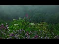 Rain Sounds with Tibetan Singing Bowls and Birds chirping  Sleep Music