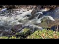 Autumn along Nine Mile Creek