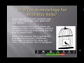 Kinesiology For Business Demonstration