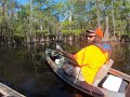 Catching Huge Redear Sunfish in the Swamp