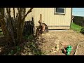 Customer Finally Gets Her Yard Back! | Tree Removals, Clearing & Clean up