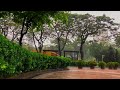Soothing Rain Sounds for Anxiety Relief, Relaxation, Deep Sleep | Calm Your Anxiety with Rain Sounds