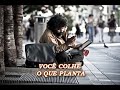 VOCÊ COLHE O QUE PLANTA (UMA LINDA REFLEXÃO DE VIDA) veja!!! #motivação #reflexão #foco