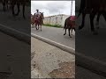 la cabalgata