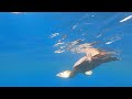 Egypt, Marsa Alam, Shoni Bay Hotel, Reef, Part 10