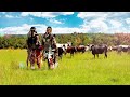 Inkabi Zezwe, Sjava & Big Zulu - Sayona [Official Visualiser]