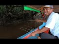 Hujan satu malam saat mancing dan bermalam di sungai langsung masak udang rica-rica