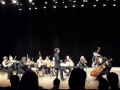 Orchestre Chambre Nouvelle Europe em Guarulhos