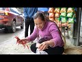 Harvesting a small chili garden to market sell - Chilli preservation process - Lý Thị Ca