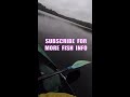 How to Fish (with No Experience)