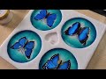 #1054 Incredible Shimmery Butterfly Resin Coasters