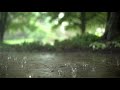 _Slow Motion_ Rain Stock Footage _ No Copyright Video