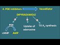 Antiplatelets - Pharmacology in easy way