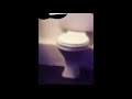 the funny toilet
