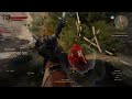 Witcher 3 Going after that bear in the woods