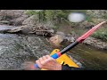 Poudre River Fun - Stevens Down