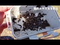 川釣り入門　ウキ釣り／脈釣り／ぶっこみ釣り【手軽に雑魚釣り】