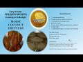 Kosher Coconut Fritters | Cooking on a Budget | Shabbos | Yom Tov | Kosher Cooking with Channah |
