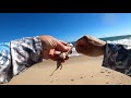 Bethany Beach  surf fishing October 2020