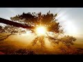 Peaceful Relaxing Guitar Music | Work Study Focus | Sunset