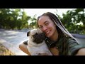11th place Pug ｜ TOP100 Cute dog breed video.