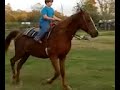 My Nephew Colin's 2nd time riding Ginger by himself!