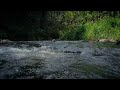 RIVER WATER SOUND THERAPY, WATER SOUNDS, RELAXING, RIVER SOUNDS FOR SLEEPING,