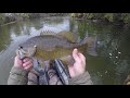 October Topwater Smallmouth