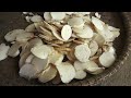 Collect wild luffa in the mountains for seeds and cooking. Robert | Green forest life