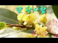 ❤️고유진🌹단 한사람(가사첨부)따뜻한 시간 되세요🙆‍♀️💜