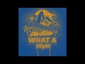 Flo Rida - What A Night (Tailgate Turn Up)