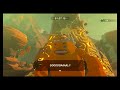 Random BotW Stuff Part 3