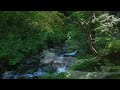 【Relaxing in nature5】〜大自然でリラックス5〜Gifu,Japan Amida Falls (Amida is the Buddha)岐阜県郡上市「阿弥陀ヶ滝」名瀑で心も浄化。