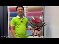 How a bouquet of roses is super simple | Tuong An Flower