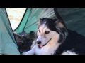 UTV Camping with the KAMP-RITE Tent Cot