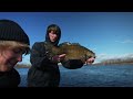 The Bass Battle On The Board -- Derby of Degenerates