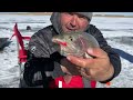 Locating and SLAYING SUPER Aggressive TROPHY TROUT ALL DAY