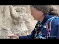 Stunning Anza Borrego Hiking Experience - South Fork Palm Wash Canyon Trail